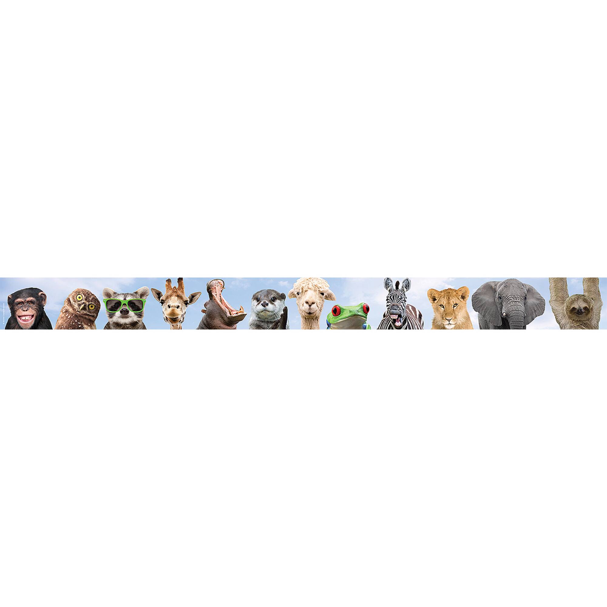 Teacher Created Resources® Go Wild Animals Straight Border Trim, 6 Packs of 12